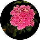 SHEETAL GARG profile picture
